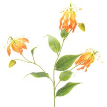 tételeket Művirág Gloriosa narancs hosszú szárral vázába 80cm 3db