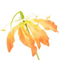 tételeket Művirág Gloriosa narancs hosszú szárral vázába 80cm 3db