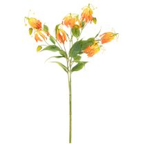 tételeket Művirág Gloriosa narancs hosszú szárral vázába 80cm 3db