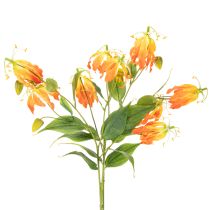 tételeket Művirág Gloriosa narancs hosszú szárral vázába 80cm 3db