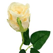 Művirág rózsa krém Ø6cm L50cm 6db