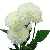 tételeket Művirágok dekoratív dáliák műfehér 50cm