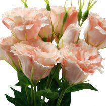 tételeket Művirágok Eustoma Lisianthus pink 52cm 5db