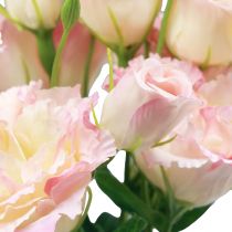 tételeket Művirágok Eustoma Lisianthus rózsaszín krém 52cm 5db