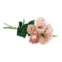 tételeket Művirágok Eustoma Lisianthus rózsaszín krém 52cm 5 db