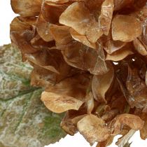 Kiszáradt mesterséges hortenzia Drylook őszi dekoráció L33cm