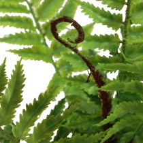 tételeket Mesterséges növény Mesterséges páfrány Dekoratív páfránylevelek zöld 40,5cm