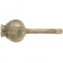 tételeket Műkő díszítés mák antik díszítés barna Ø13cm L37,5cm