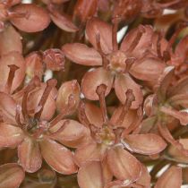 tételeket Műág őszi dekoráció virágág barna piros 45cm 2 darab