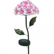Solar virág, LED kerti dekoráció, dekoratív krizantém rózsaszín L55cm Ø15cm