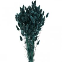 Lagurus szárított nyúlfarkfű sötétzöld 65-70cm 100g