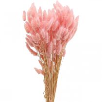 Lagurus szárított nyúlfarkfű világos rózsaszín 65-70cm 100g