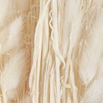 tételeket Szárított virágok Lagurus Natural – Bolyhos nyúlfarkfű krémfehér színben 55-70cm 100g