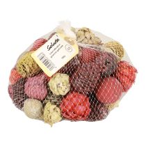 tételeket Leucadendron kúpok Bellgum Green Red Yellow Frosted 300g