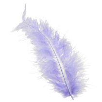 tételeket Purple Feathers Bolyhos kézműves kellékek tavaszi 5-10cm 20g