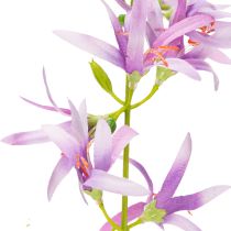 tételeket Triteleia művirág elegáns virágdíszítéshez lakóterekben, 110 cm, 2 darab