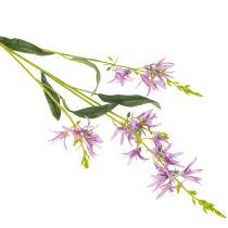 tételeket Triteleia művirág elegáns virágdíszítéshez lakóterekben, 110 cm, 2 darab