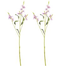 tételeket Triteleia művirág elegáns virágdíszítéshez lakóterekben, 110 cm, 2 darab
