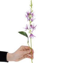 tételeket Triteleia művirág elegáns virágdíszítéshez lakóterekben, 110 cm, 2 darab