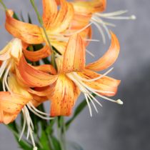 tételeket Műliliomok, esküvői és rendezvénydekoráció, 77 cm, 4 darab