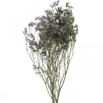Száraz virágok, Tengeri levendula, Statice Tatarica, Tengeri levendula, Limonium Violet L45-50cm 30g