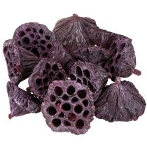 tételeket Lótusz kapszula, száraz virágkötő, lótuszhagyma rózsaszín, mosott fehér 50 db