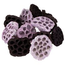 tételeket Lotus Mix Pink, Erika Ø6cm - Ø10cm 50 db