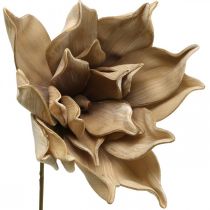 Lótuszvirág, lótuszvirág díszítés, műnövény bézs L66cm