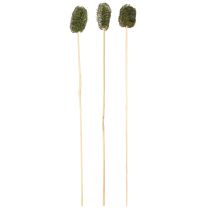 tételeket Luffa kis piskóta pálcikán uborka sötétzöld 5-7cm 25 db