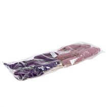 tételeket Luffa pálcán nagy rózsaszín, Erika 8cm - 30cm 25 db