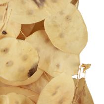 tételeket Lunaria Deco Moon Violet Silver Leaf Szárított 90cm 100g