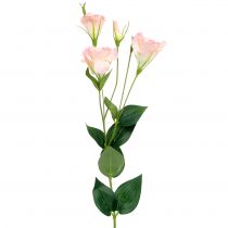 tételeket Lysianthus műrózsaszín 87,5cm