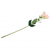 tételeket Lysianthus műrózsaszín 87,5cm