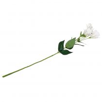 tételeket Lysianthus művirág fehér L87,5cm