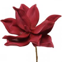 tételeket Mesterséges magnólia piros művirághab virágdísz Ø10cm 6db