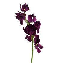 Mokara orchidea lila 50cm mű 6db