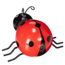 tételeket Fa katicabogarak/szerencsehozó bogarak, mint aranyos dekorációk az otthonba, 5 cm, 6 darab