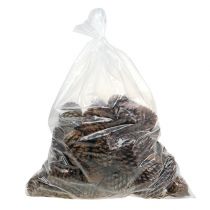 tételeket Maritima kúpok 10/14 natúr 50 darab