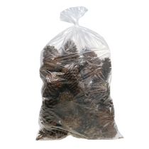 tételeket Maritima kúpok 14/18 natúr 25 db