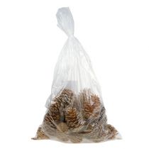 tételeket Maritima tölcsérek krém-vanília vegyes 5-18cm 25 db