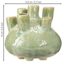 tételeket Tengeri dekorációs váza Coral Design Világoszöld Ø14,5cm H14cm