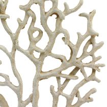 tételeket Tengeri asztaldísz korall bézs dekoratív korall polirezin H20cm