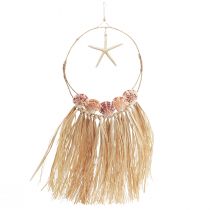 tételeket Tengeri faldísz valódi tengeri csillaggal Ø26,5cm H65cm