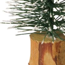 tételeket Mini fenyőfák hófödte téli erdő Ø5cm M8cm 12 db