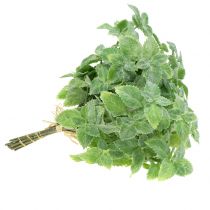 tételeket Menta műzöld 25cm 12 db