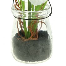 tételeket Mák pohárban akasztani fehér 22cm