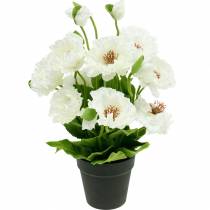 tételeket Mák cserépben fehér selyem virágok virágos díszítéssel