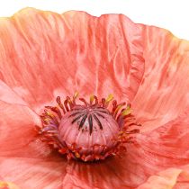 tételeket Mák narancssárga művirág Ø13cm 84cm