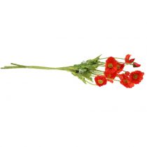 tételeket Mák narancs 60cm 3db