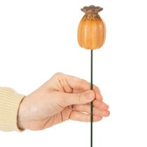 tételeket Kerti karó mákhüvely - dekoratív kiemelés kerti dekorációhoz és barkács projektekhez - 41 cm, 4 darab -